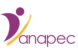 Exemple Concours de Recrutement Conseiller en Emploi 2019 – ANAPEC