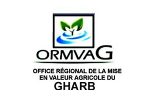 ORMVAG