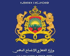 Ministère du Travail et de l'Insertion Professionnelle
